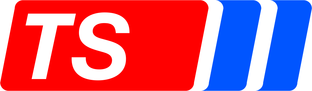 Логотип ts_logo
