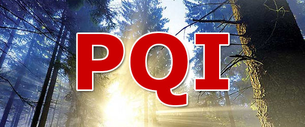 Что такое PQI?